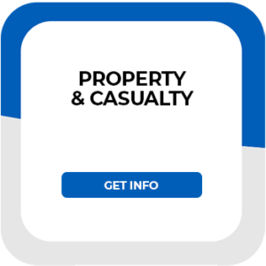 Property-Casualty icon