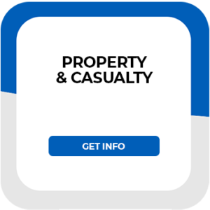 Property-Casualty icon