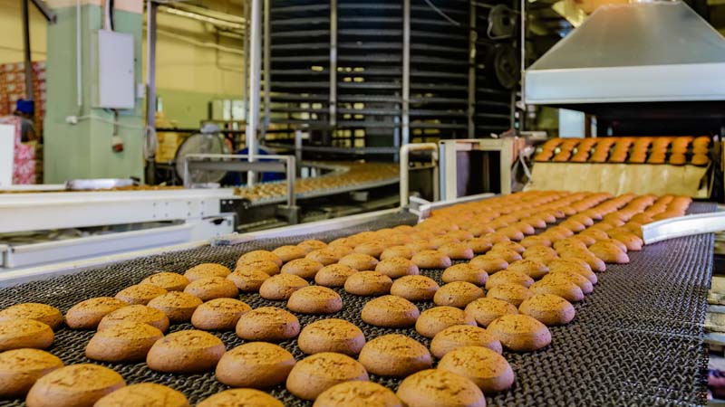 Conveyor with cookies