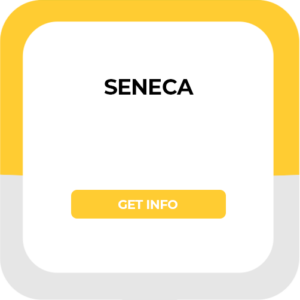 Seneca graphic