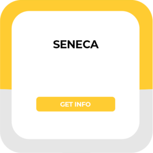 Seneca graphic