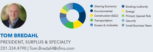 Surplus & Specialty Division