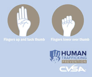 CVSA logo