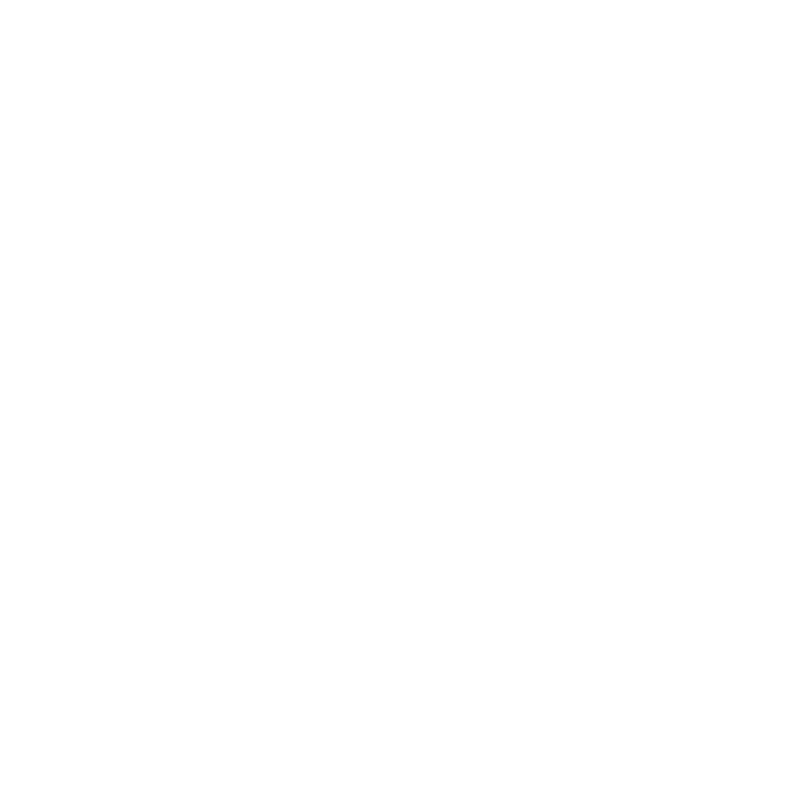 Airplane icon